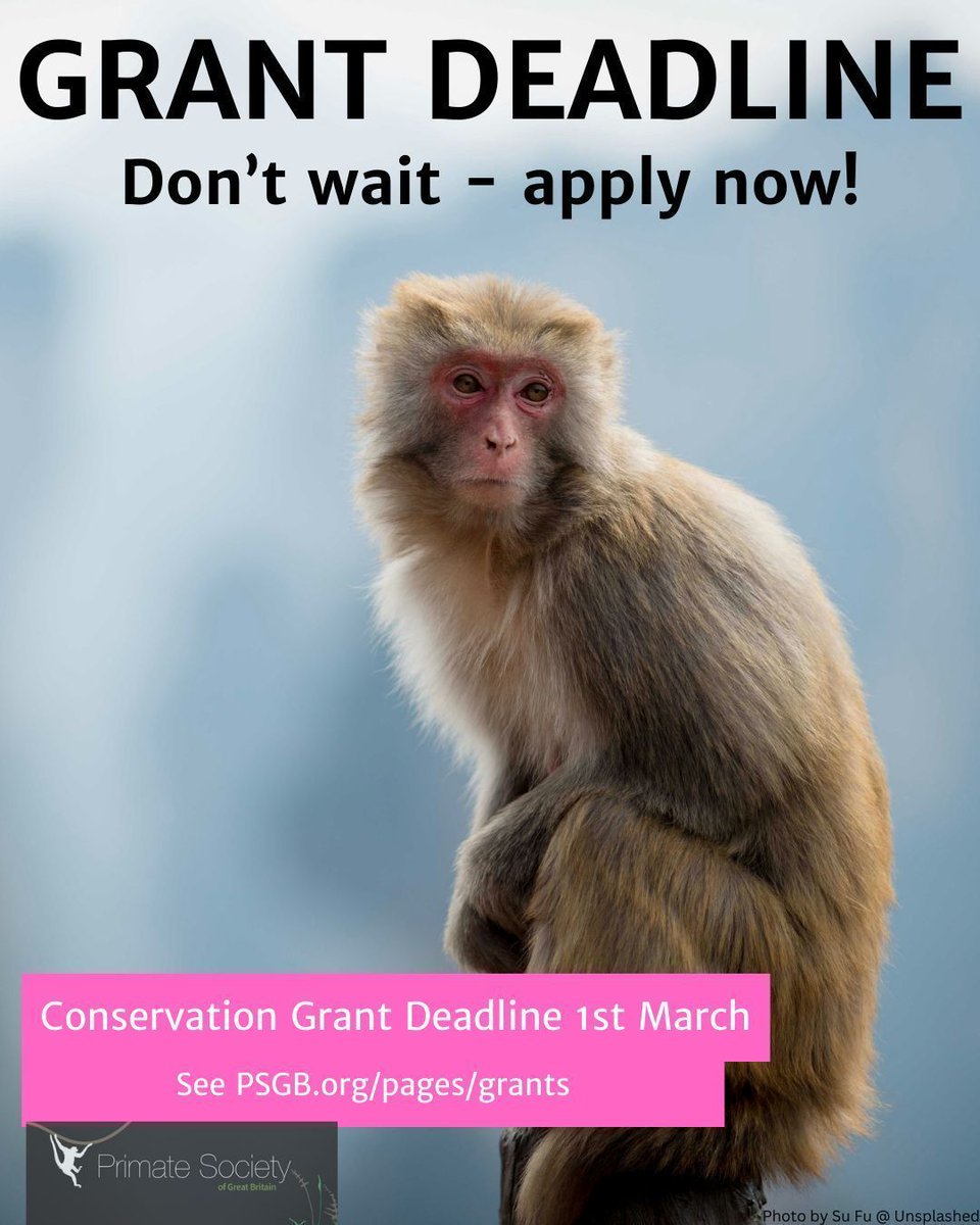 The upcoming deadline for applying for a conservation grant is the 1st of March 2024. To learn more, visit our grants page at buff.ly/48dv99h . #Conservation #ResearchFunding #AcademicGrants #NaturePreservation #PrimateResearch