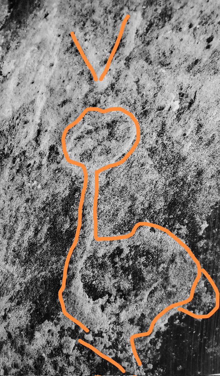 <a href="/abuFeras555/">محمد السكران التميمي</a>