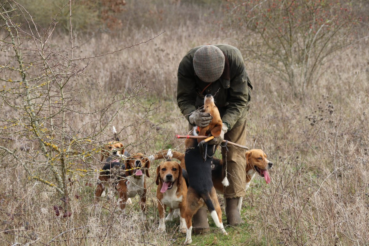 Société de Vènerie tweet media