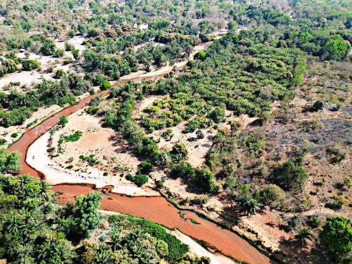 Vu sur le Méta, la guinguette dans le village de Nasso a 15km de Bobo-Dioulasso, un endroit magnifique et apaisant 🤩🤩
📸 Jojo Relmars
#discoverBF
#FasoPics