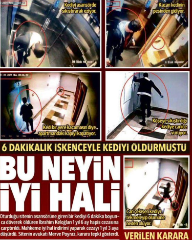 Benim çıkaramadığım ses olun..  

Beni işkenceyle öldüren katil tutuklansın, başka hayvanların ve insanların can güvenliği için o cani elini kolunu sallaya sallaya aranızda dolaşmasın! #kedikatili