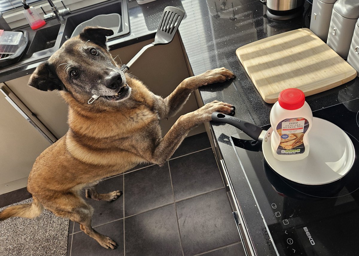 It's pancake day 😋 🥞
What do you like on yours? 🥞 
#PancakeDay #pancakes #sugar #sweet #honey #syrup #dogsofx #veterans #retirement #PancakeTuesday #chocolate #lemon #jam #baking #uk