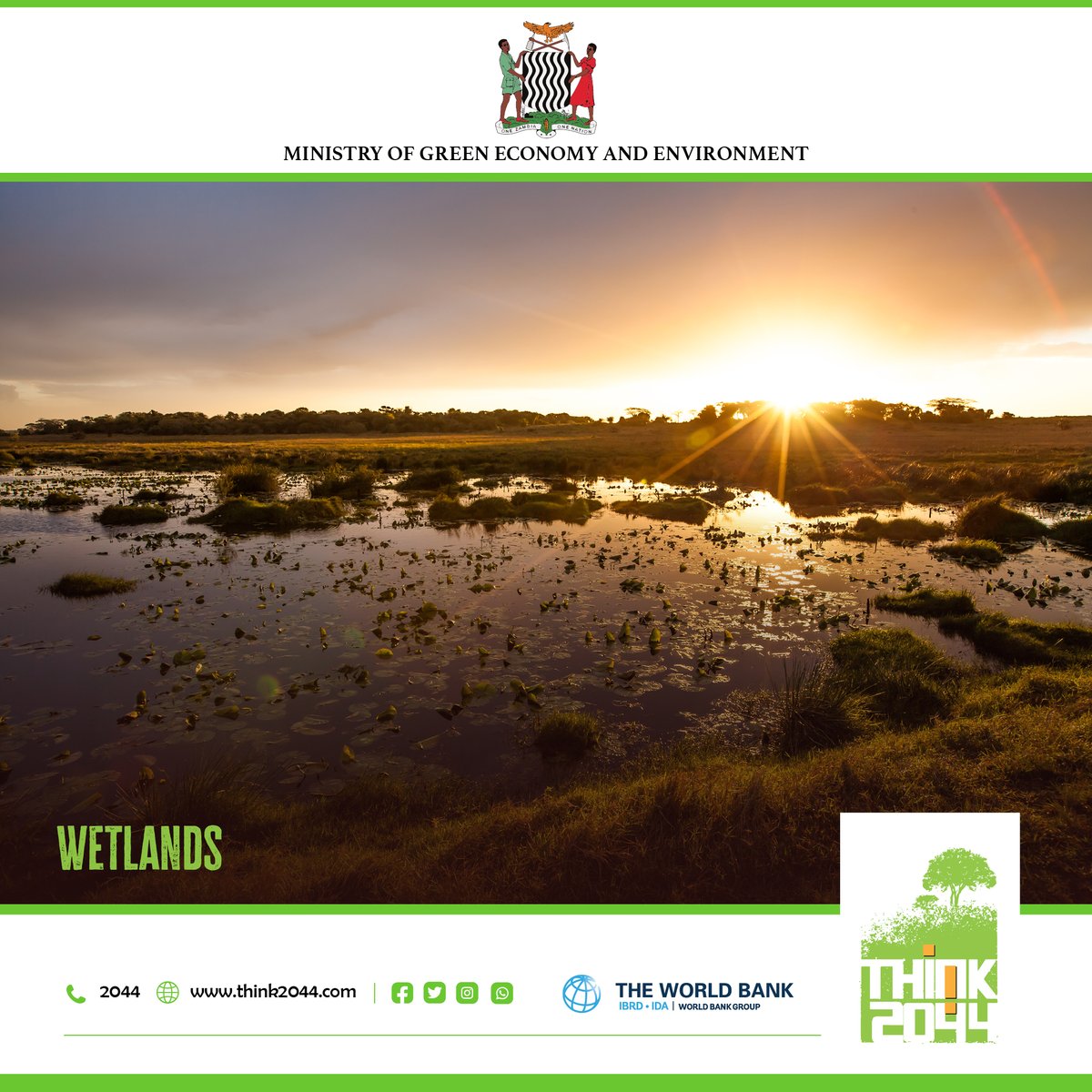 think2044's tweet photo. We celebrate the significant role that wetlands play in helping maintain biodiversity on Earth. These pieces of land saturated by water and incredibly important and need to be conserved and sustained.
#ActNowSaveTomorrow #Think2044 #ClimateResilience #TRALARD https://t.co/NOBIN5JbMn