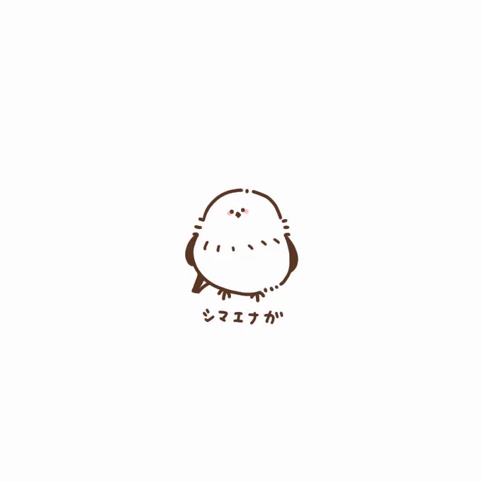 シロマエナガラ! 