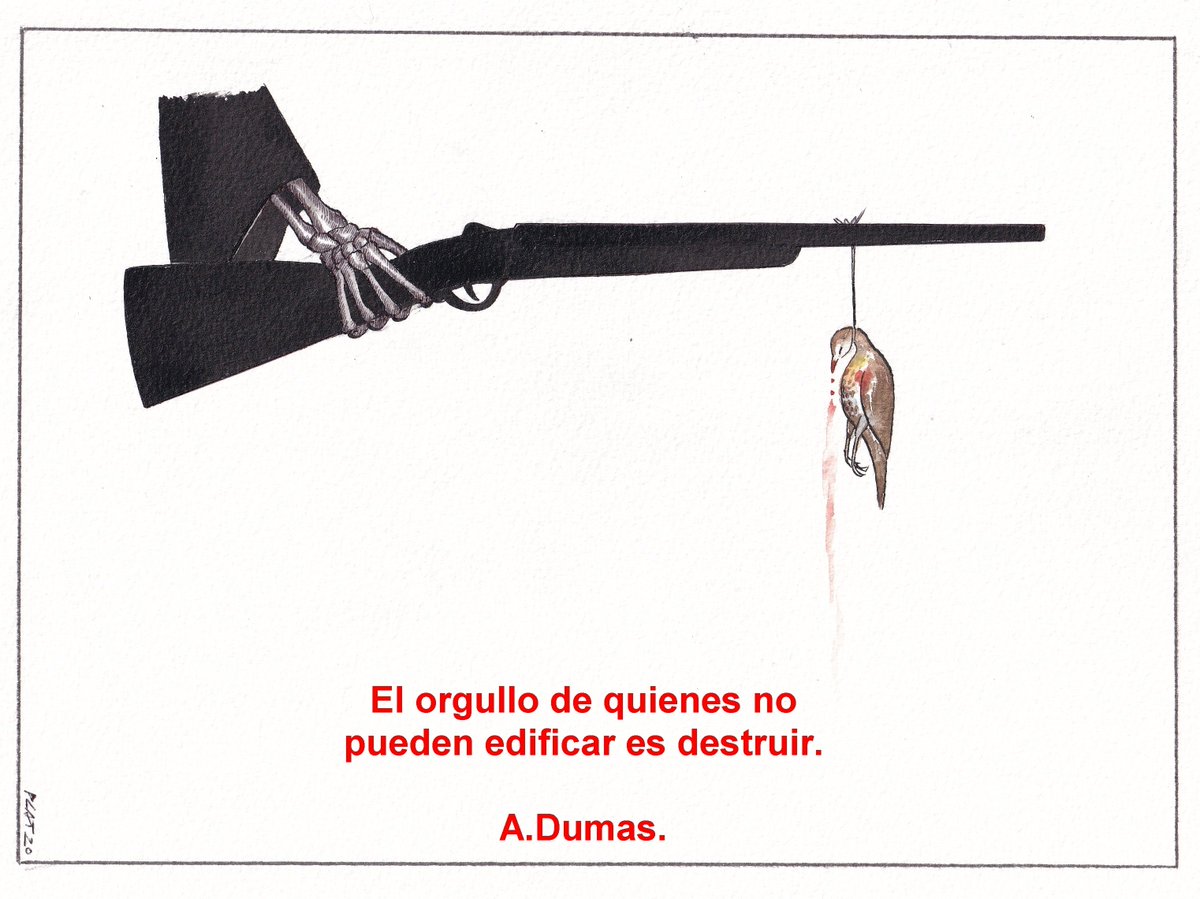 pacocatt's tweet image. Mi viñeta de hoy.