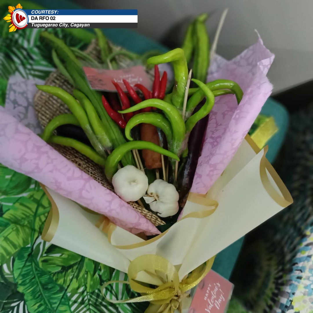 bayanmo's tweet photo. Mula pa sa local farmers ang mga gulay sa binebentang “#VeggieBouquet” ng Department of Agriculture-Region 2 ngayong Araw ng mga Puso.
#Gulay
#ValentinesDay
#Cagayan https://t.co/6QYmXN4epM