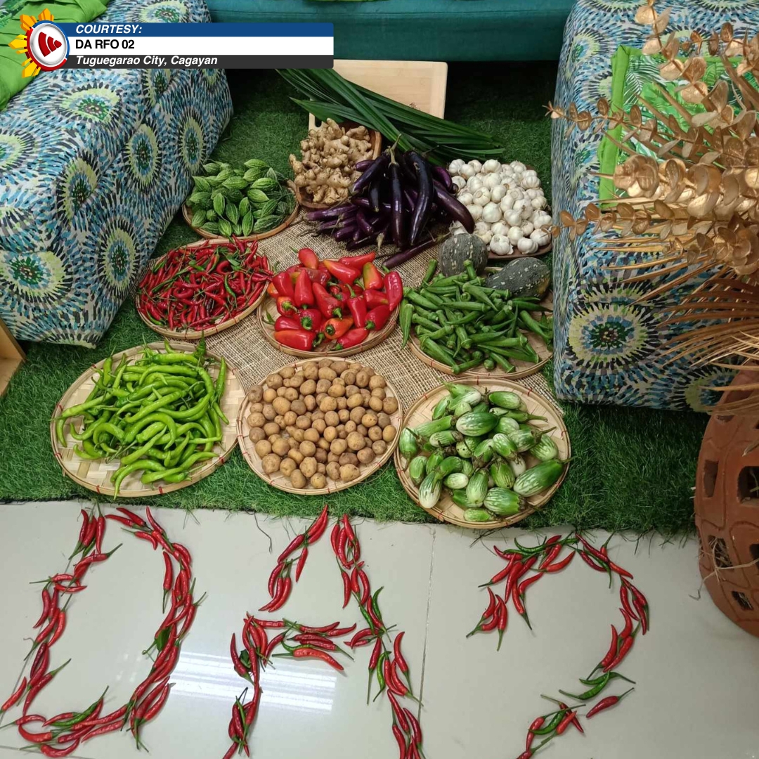 bayanmo's tweet photo. Mula pa sa local farmers ang mga gulay sa binebentang “#VeggieBouquet” ng Department of Agriculture-Region 2 ngayong Araw ng mga Puso.
#Gulay
#ValentinesDay
#Cagayan https://t.co/6QYmXN4epM