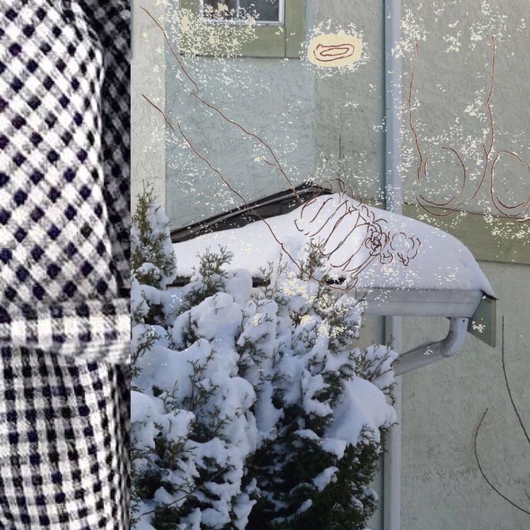 TANUKINEIRI RECORDS tweet media