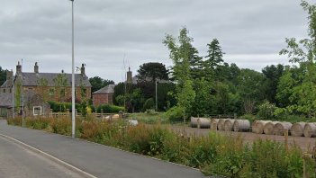 Update at #Reston on the East Coast Main Line.  The larger of the two #monkeypuzzle trees visible from the train has disappeared. Pic June2023 #ECML