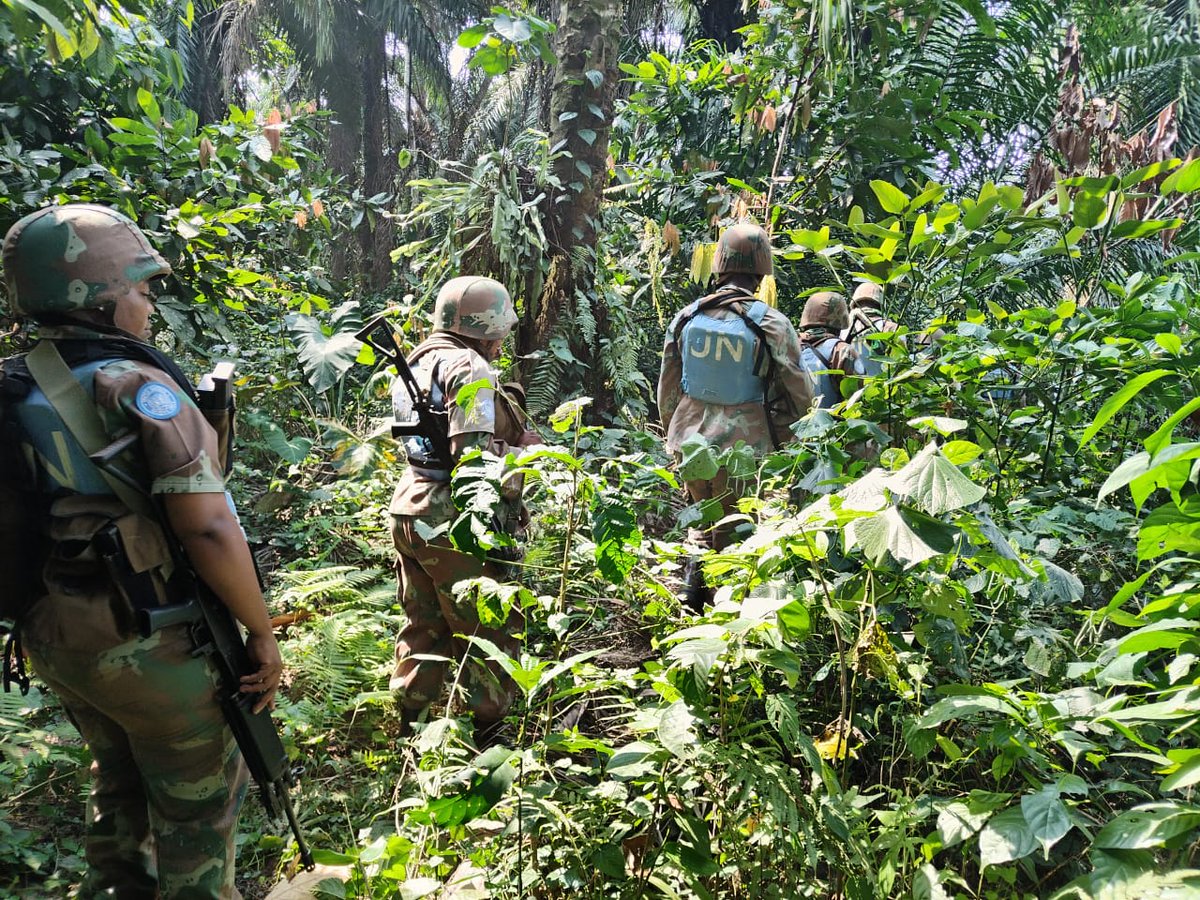 SANDF_ZA's tweet photo. READ || The  Republic of South Africa Battalion, currently deployed in the  Democratic Republic of Congo has successfully completed its Jungle  Warfare Trainer of Trainers Course.

https://t.co/F7ciOZNymU

#SANDF
#JointOperationsDivision
#RSABATT https://t.co/BsvqoV5ayv