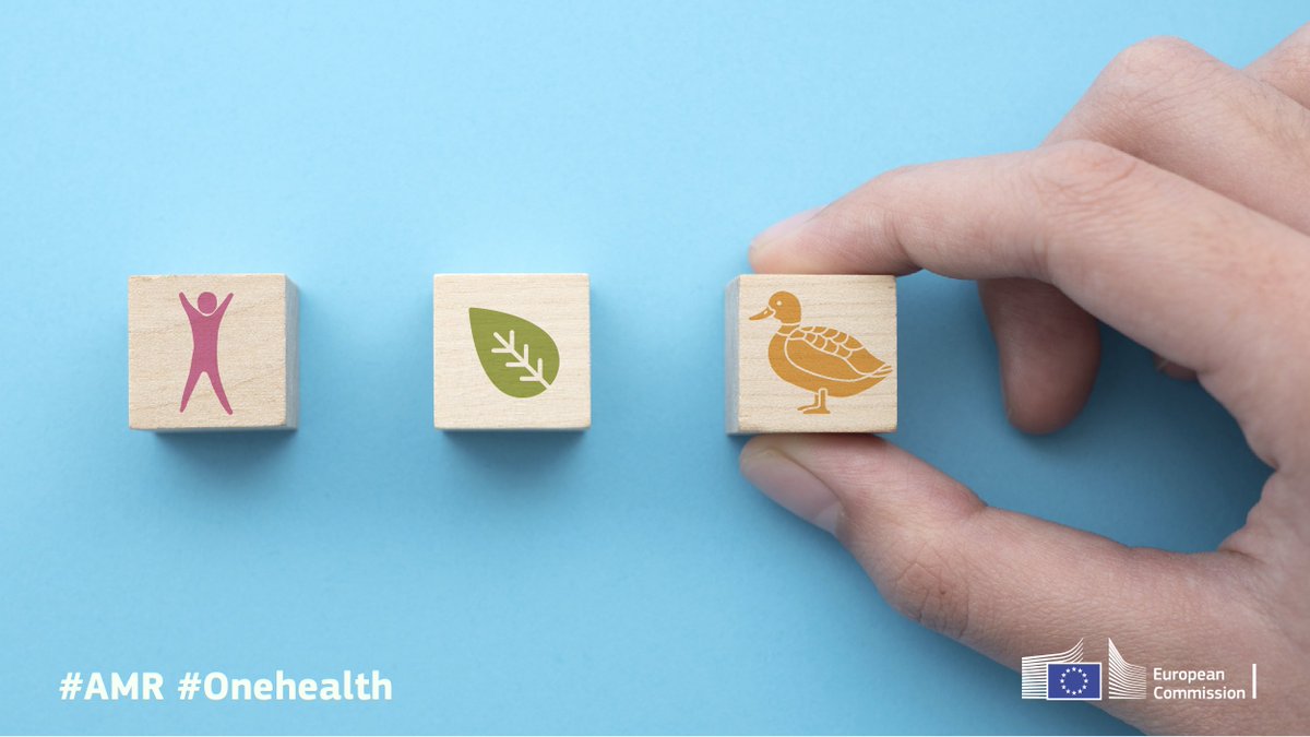 Antimicrobial resistance (#AMR) is one of the biggest health threats of our times. Today we are launching the largest ever #EU4Health funded project to help reduce the risk of AMR.
➡️europa.eu/!hVmTYM
#OneHealth