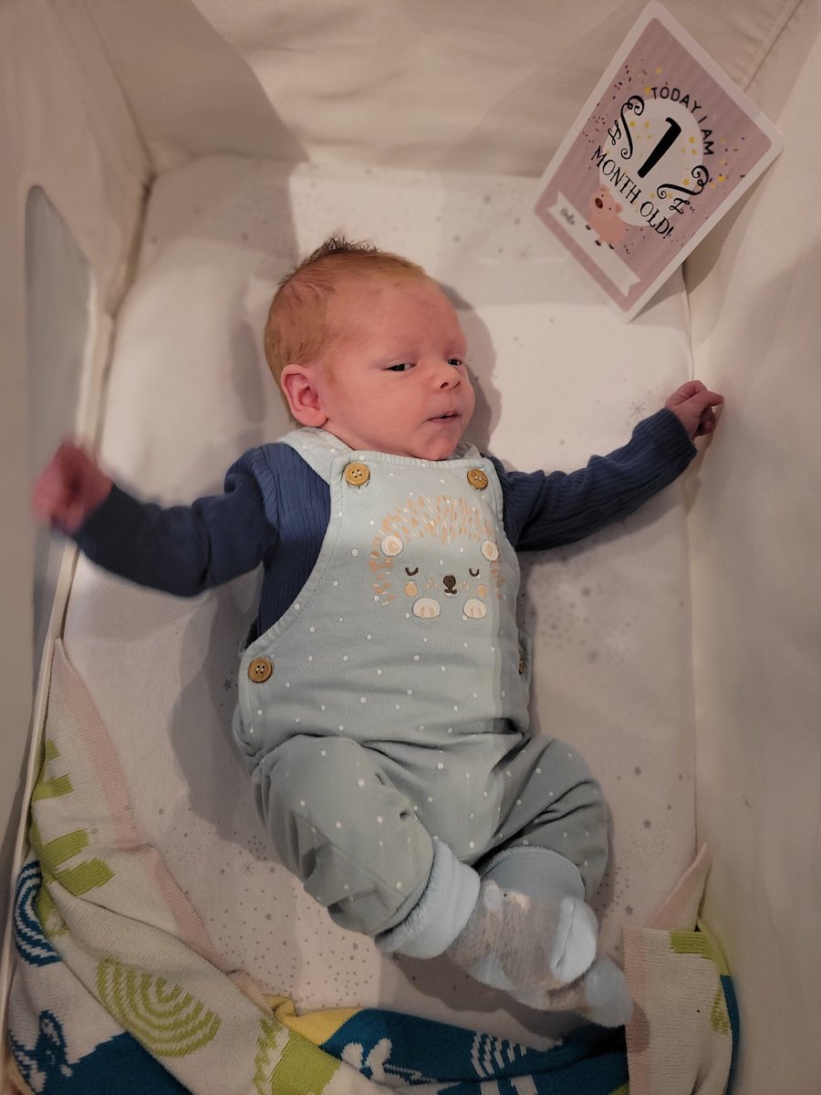 4 weeks with this one. Alfie Cohen King you make my heart melt ♥️  I can't believe I grew such a perfect human! @eyesonalice