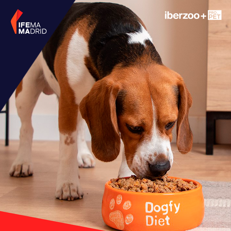 En @dogfy_diet ven a tu perro como un miembro más de tu familia al que hay que cuidar. 🐶 

Se trata de una empresa de comida natural cocinada y 100% personalizada para perros. 

📌 ¡Estarán del 13 al 15 de marzo en #IberzooPropet!