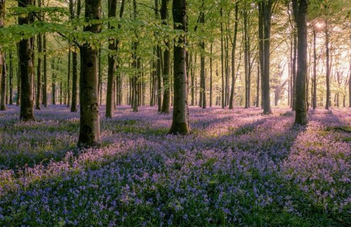 _Fact_Stream tweet picture