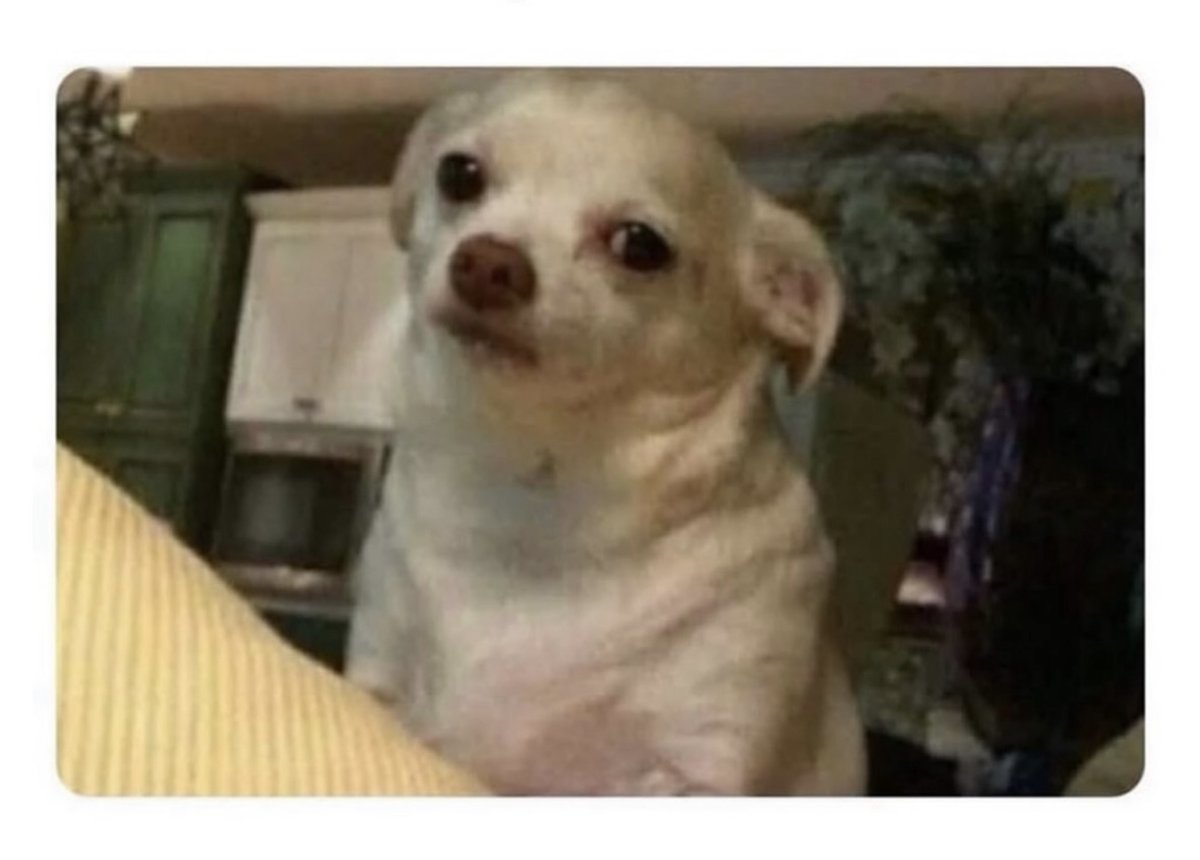Skype's tweet photo. When they schedule a “quick check-in” but it turns into an hour of circling back and putting pins and stuff… 
#corporatelife https://t.co/U8AggSPbwO