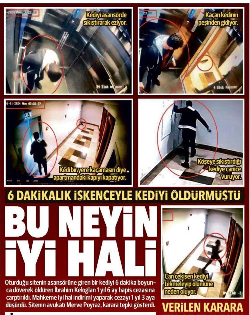 6 dakika boyunca bilerek, isteyerek, tasarlayarak yavru bir kediyi tekmeleye tekmeleye öldüren bu caninin "İYİ HAL" i ne acaba öğrenebilir miyiz?
Kamuoyunun vicdanını neden sınıyorsunuz?

#kedikatili
#ibrahimkeloğlantutuklansın