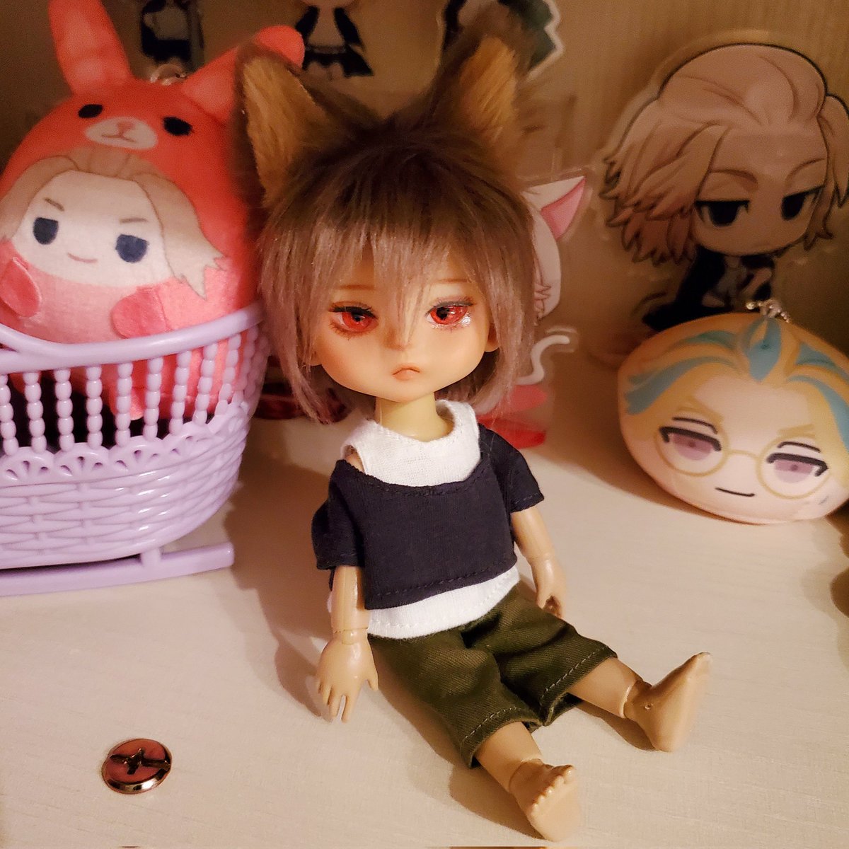tz_doll's tweet photo. 推しコーナーにちまっと座ってるのかわいいね( ◜𖥦◝ )
#セリアドール https://t.co/kZAOFmRNVv