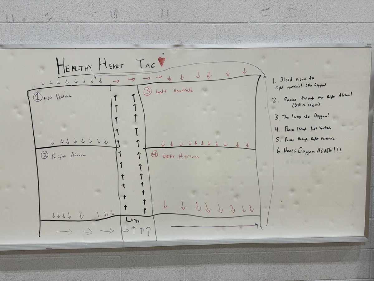 CoachBaileyNHS's tweet photo. Healthy Heart Tag this week from @OPENPhysEd ! Modified a little bit without the poly spots. Just trying to engrave healthy habits into Elem Students at Van Rensselaer @RensselaerCSD! #OPENPE #HealthyHabits https://t.co/hgG6xhqFWM