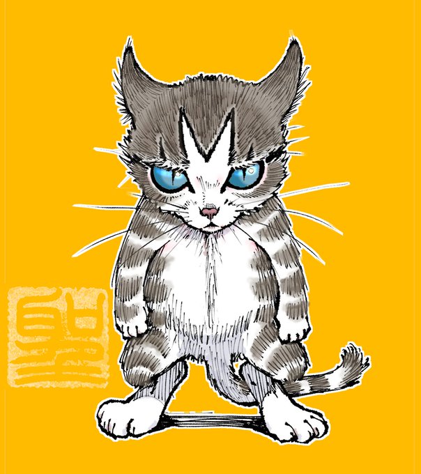 「シンプルな背景 猫目」のTwitter画像/イラスト(新着)｜5ページ目