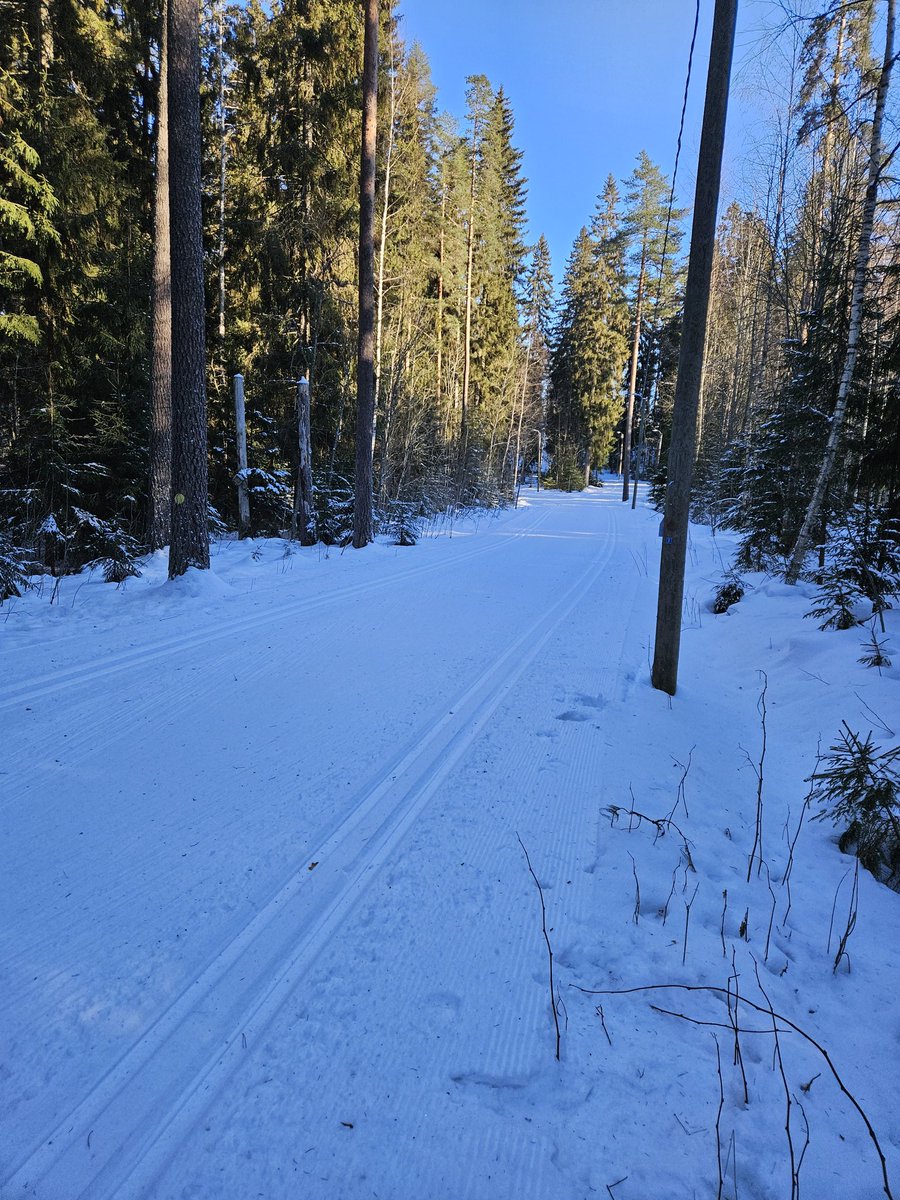 plant based environment tweet media