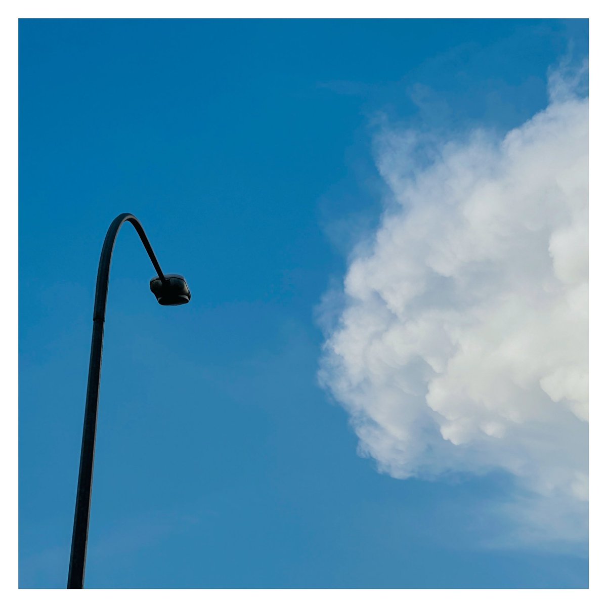 isurudeshan420's tweet photo. “The Lonely Light”
5/5
3.99Tez
#IsuruDeshan https://t.co/T1cC9qPJpI