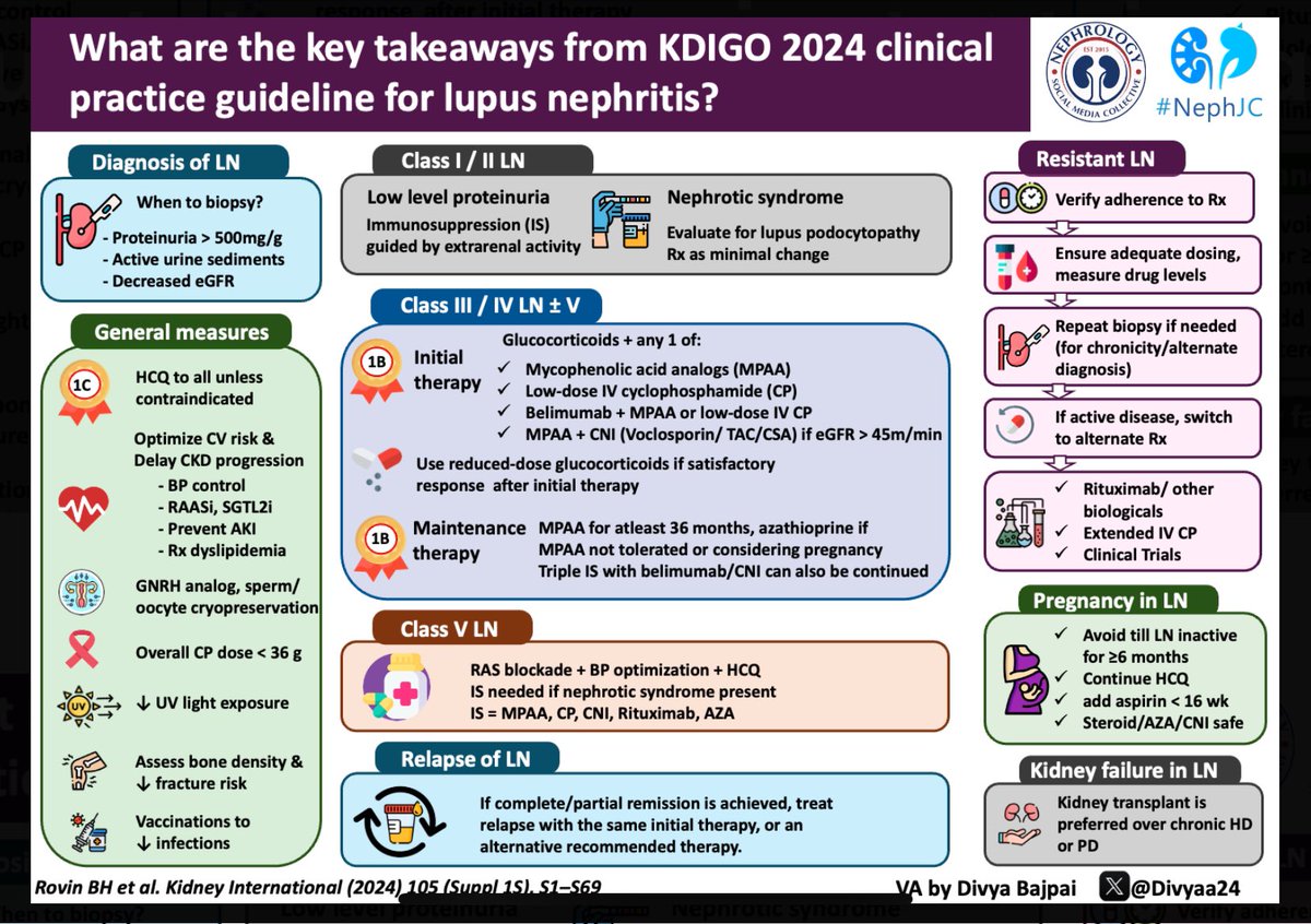 KDIGO 2024 Lupus Nephritis Guidelines - Visual Abstract nephjc.com/news/2024/2/4/…