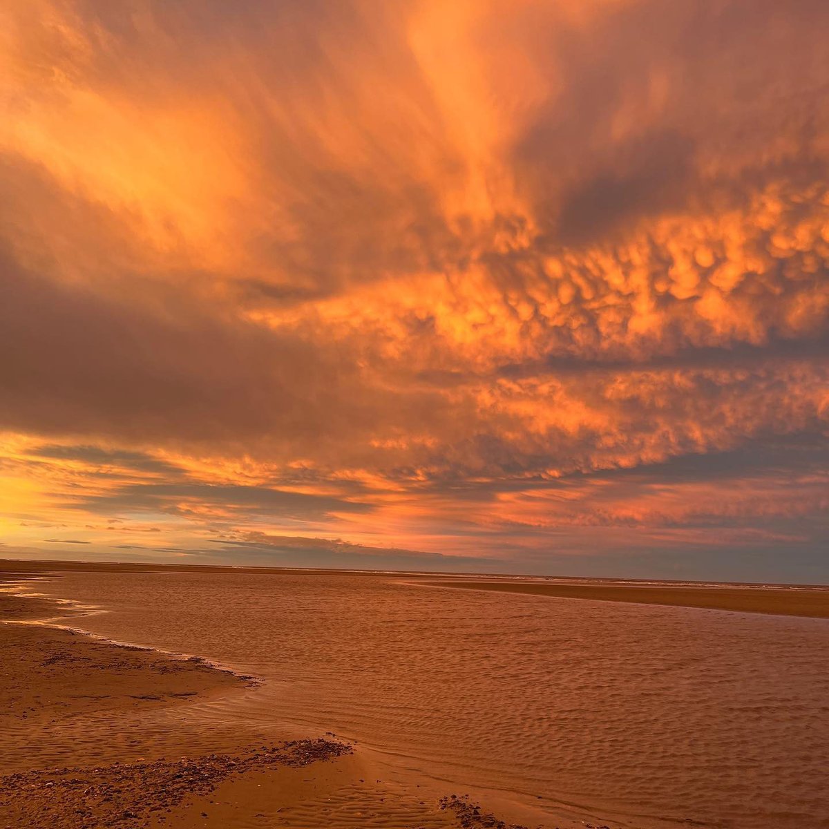 Happy #LoveWestNorfolk Day! 🩷 A truly special place with outstanding natural beauty. Here's a few of our favourite photos of #WestNorfolk so far this year! #VisitWestNorfolk