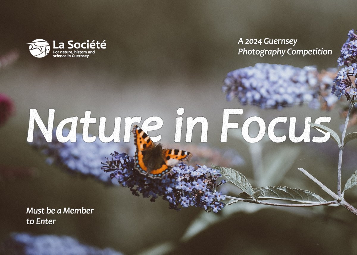 Have you got a keen eye for nature? This is our 𝑵𝒂𝒕𝒖𝒓𝒆 𝒊𝒏 𝑭𝒐𝒄𝒖𝒔 Photography Competition. Find out more and submit work 📷 societe.org.gg/wp/nature-in-f…