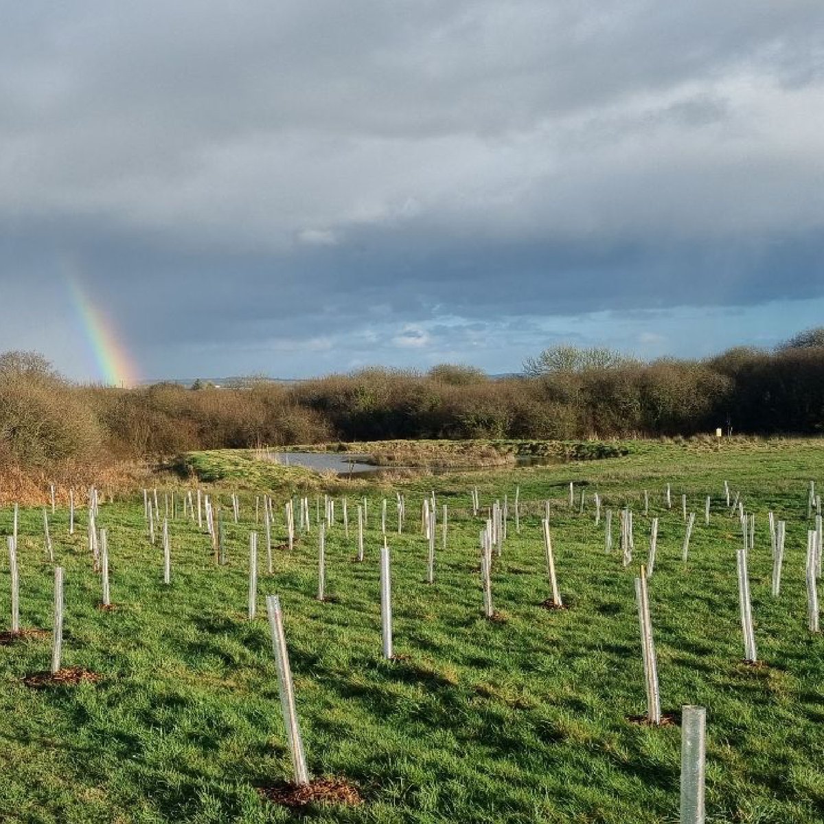 Leedam Natural Burial Grounds tweet media