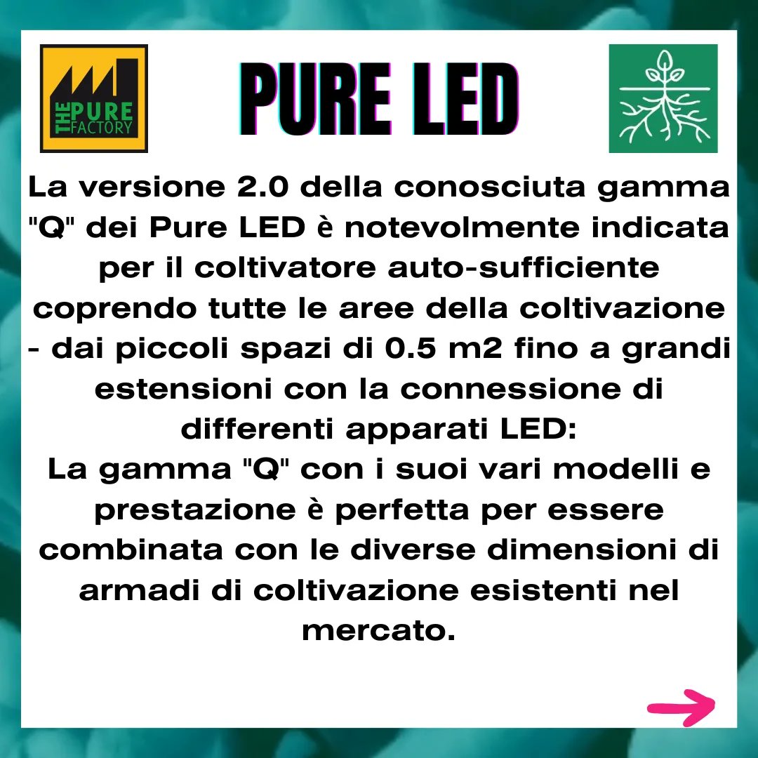 GrowWeCesena's tweet photo. I vantaggi dell'illuminazione #LED per #coltivazioni indoor includono il #risparmioenergetico; le soluzioni a LED possono generare più rendimento per kWh.
I #PureLED gamma Q 2.0 sono leggeri e non sono composti da parti mobili, quindi lavorano in modo totalmente silenzioso. https://t.co/WsRy8nwHar
