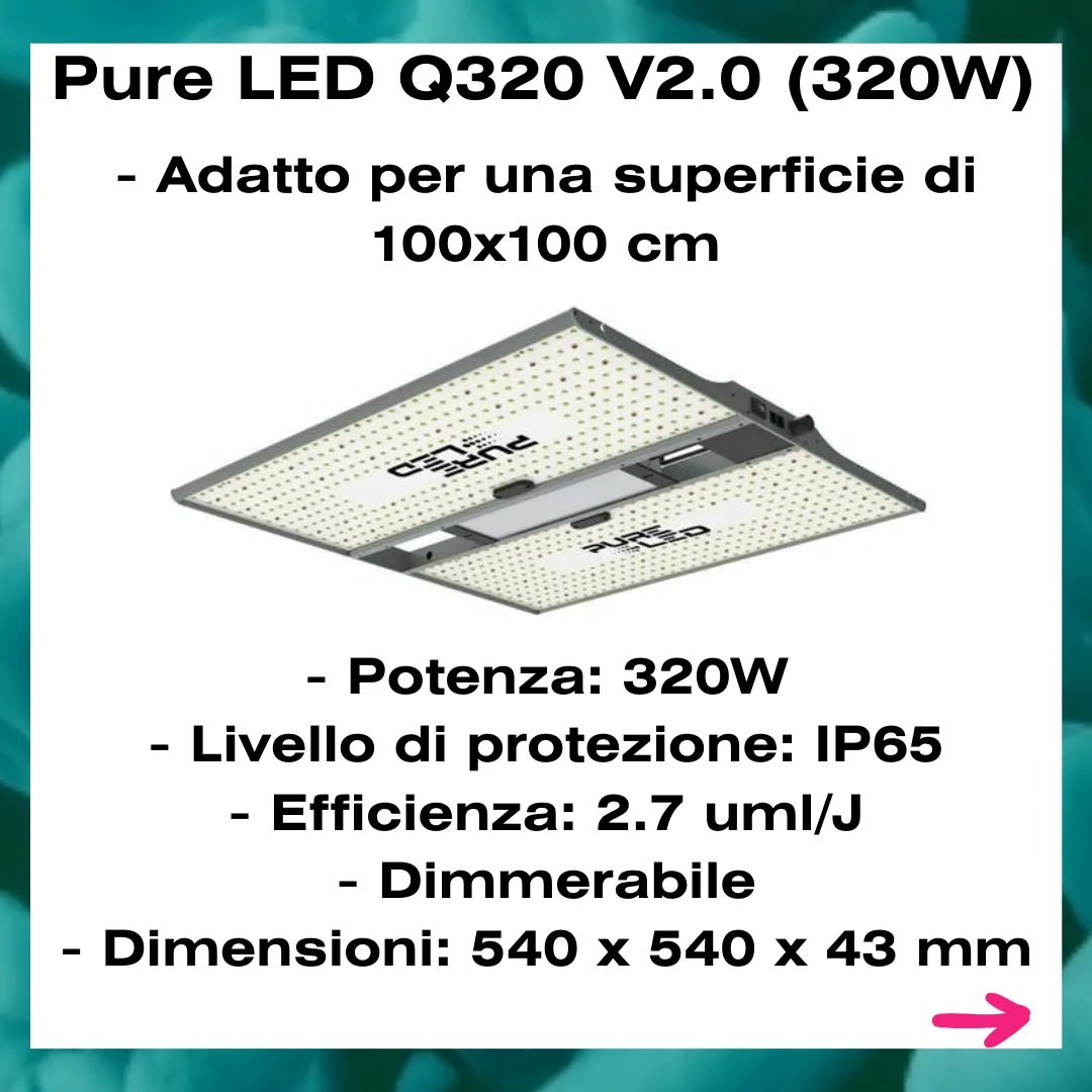 GrowWeCesena's tweet photo. I vantaggi dell'illuminazione #LED per #coltivazioni indoor includono il #risparmioenergetico; le soluzioni a LED possono generare più rendimento per kWh.
I #PureLED gamma Q 2.0 sono leggeri e non sono composti da parti mobili, quindi lavorano in modo totalmente silenzioso. https://t.co/WsRy8nwHar