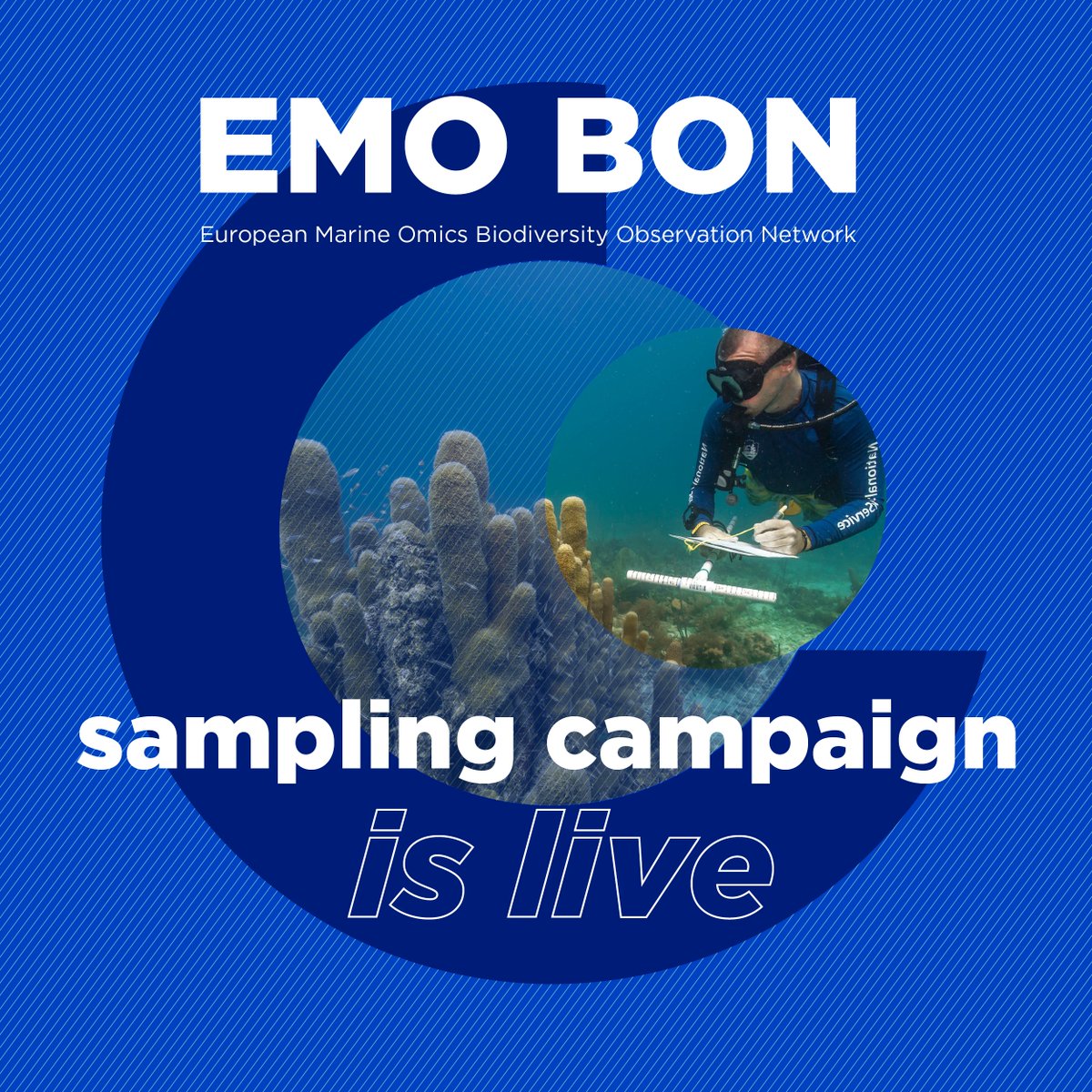 📢 #EMOBON’s first 2024 sampling is live !

👉 Scientists will be sampling the #WaterColumn & microorganisms from soft substrates

💡 Keep complete metadata records
💡 Fill in spreadsheets asap after your sampling event
💡 Share pics & videos on social media

#OceanObservation