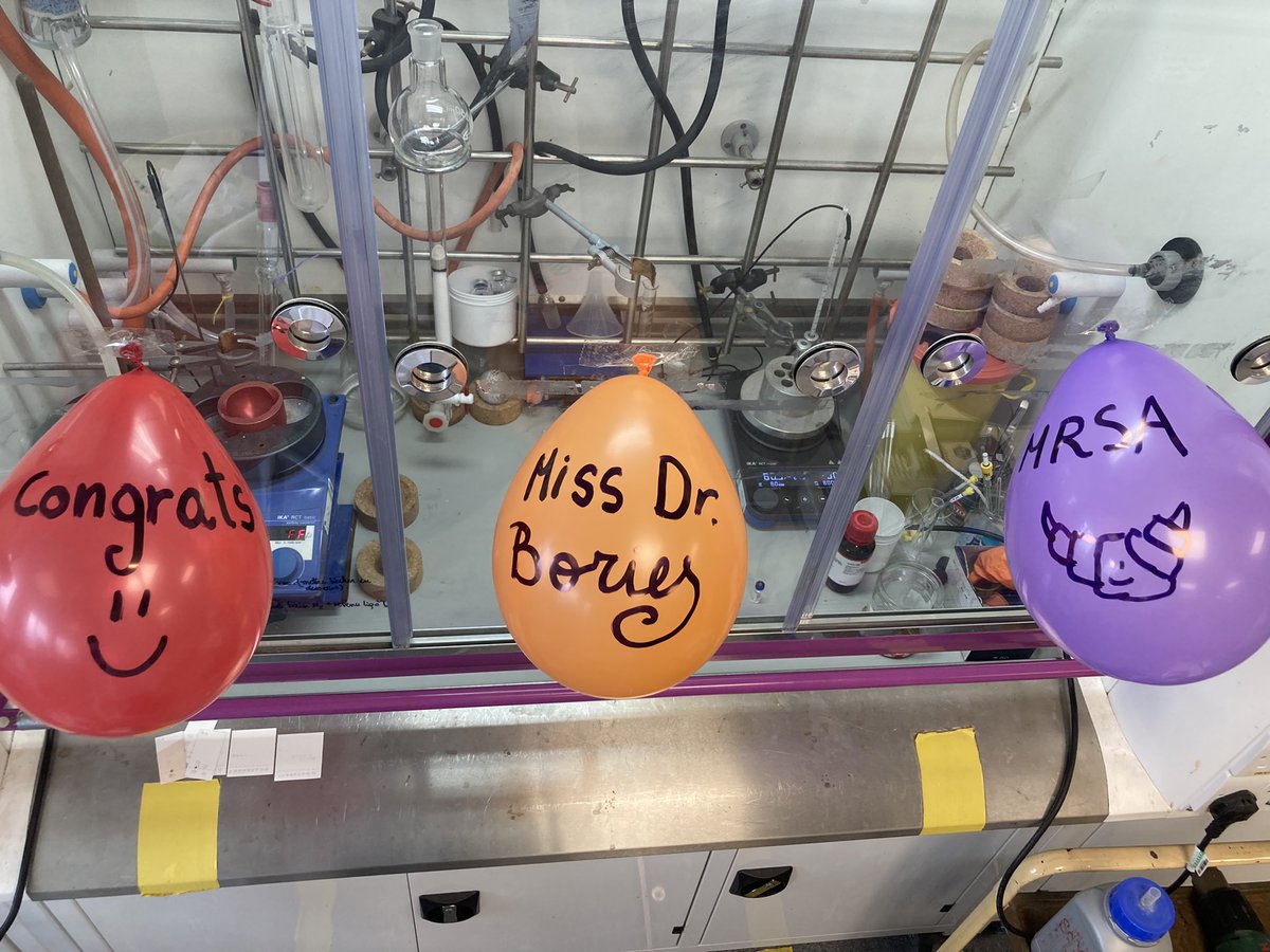 CassandreBories's tweet image. Still can't realise that I have been awarded a #MSCA @MSCActions PostDoctoral Fellowship with the @LarrosaGroup! 🇪🇺 2 more years with this amazing team!! Can't wait to tackle this exciting project!