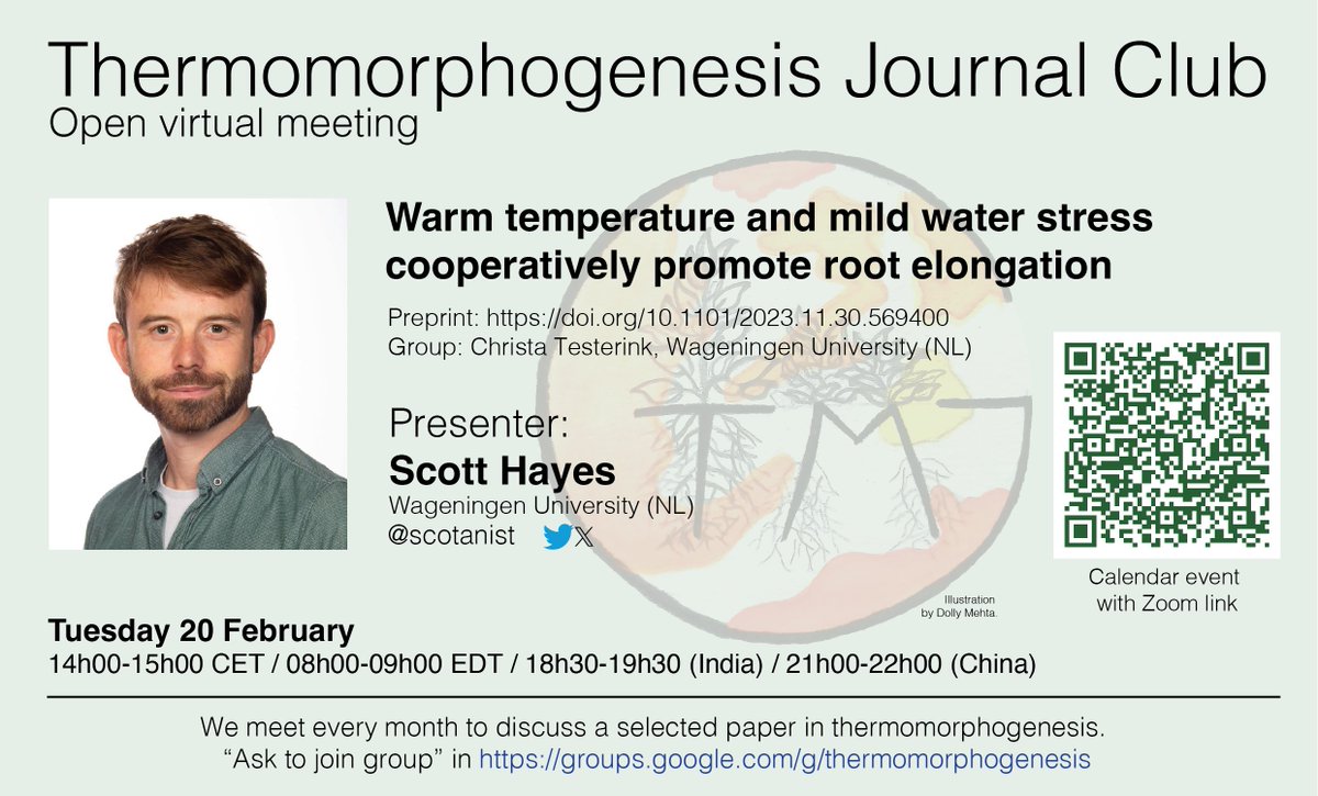 📢 Thermomorphogenesis community📢
It's next week!! 
Scott Hayes (<a href="/Scotanist/">Scott Hayes</a>) will present his preprint on the combined effect of warm temperature and water stress on root elongation in our next journal club! 
Come join us!!