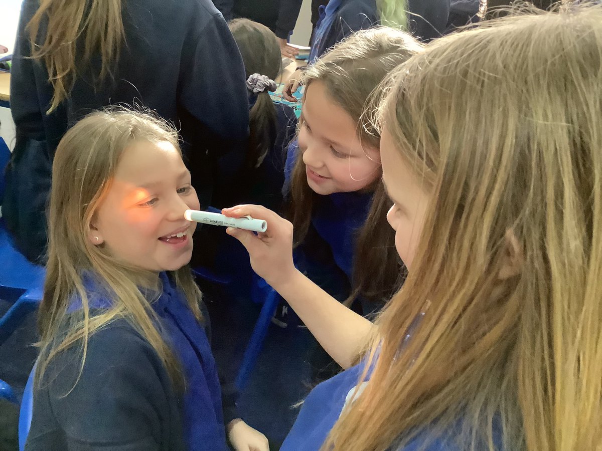 Year5BDP tweet media