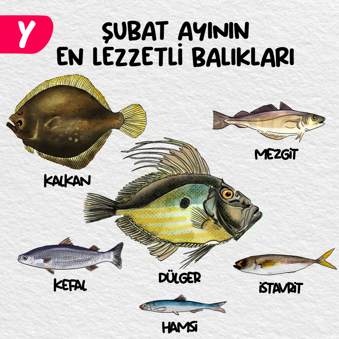 Şubat ayının en lezzetli balıkları!😍🐟
En sevilen mevsim balıkları Yemeksepeti Mahalle balıkçılarında seni bekliyor.💖

Sipariş ver: ymk.st/mahallesubatba…