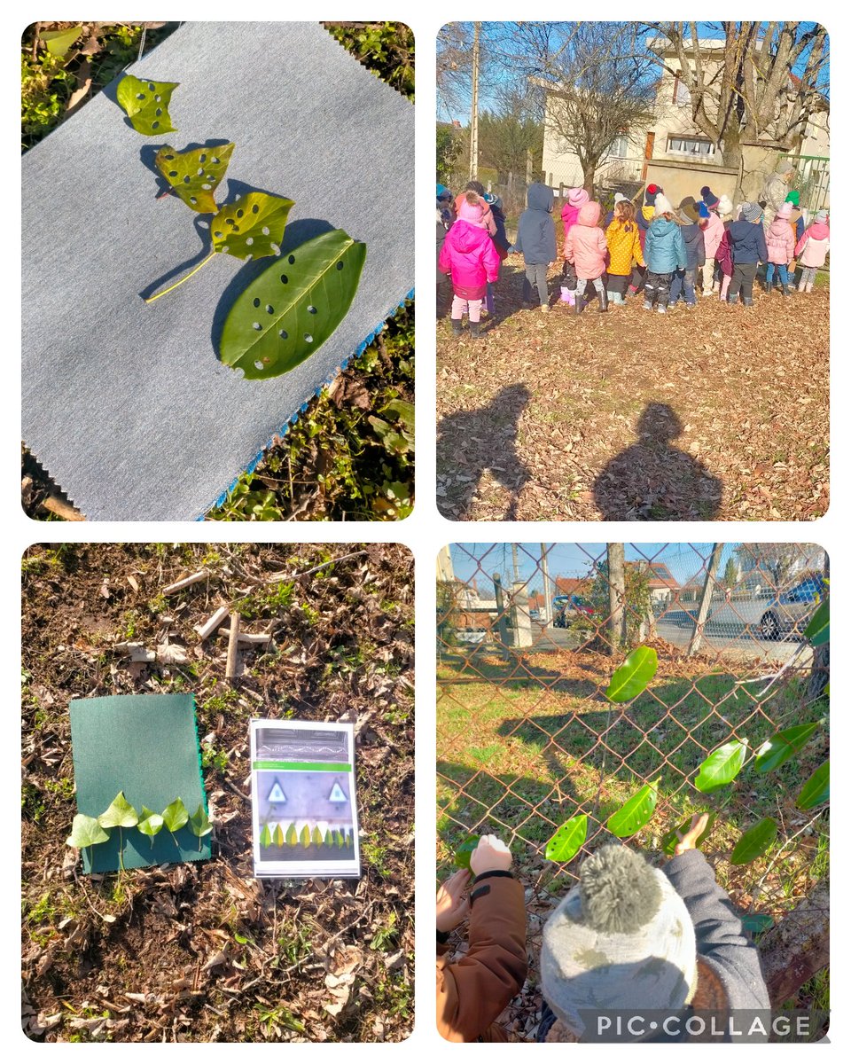 Belle journée pour l'école du dehors 🌳🪵🌞