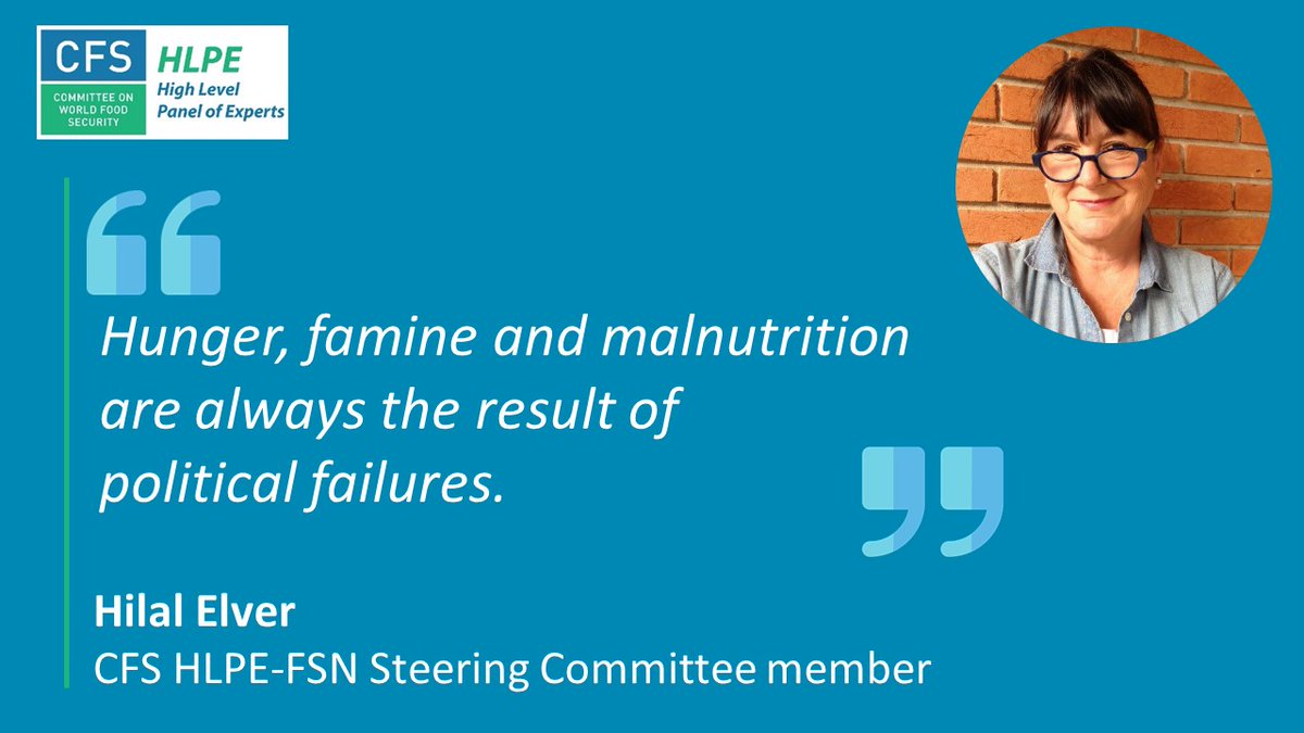 'There is a shocking failure in addressing criminal acts of deliberate starvation & other violations of the right to food. Hunger, famine & malnutrition are always the result of political failures', @HilalElver, member of the HLPE-FSN & former @UN Special Rapporteur on the RtF.