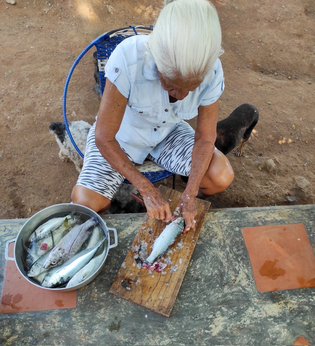 Buenos días.
Muchas gracias por las felicitaciones para mi mamá.
Muy agradecido.
Ella en su faena diaria, componer (arreglar) pescado.
Isla de #Margarita #Venezuela