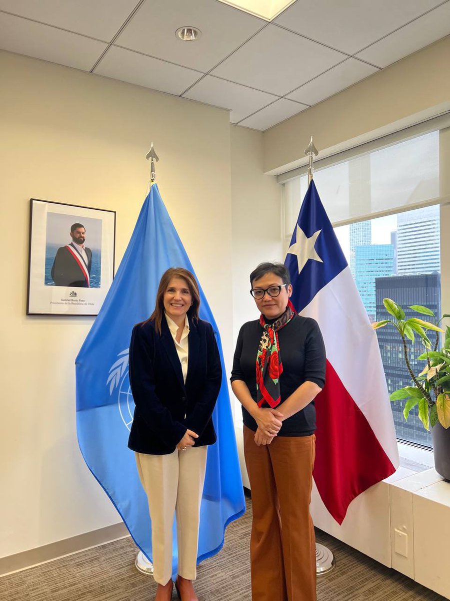 A very dynamic meeting with President of ECOSOC & PR of Chile @ChileONU @paulanarvaezo. Delved into preparations for World Day of Social Justice, UNFF19, & constructive dialogue on enhancing ECOSOC cooperation. Exciting times ahead for global collaboration & progress!