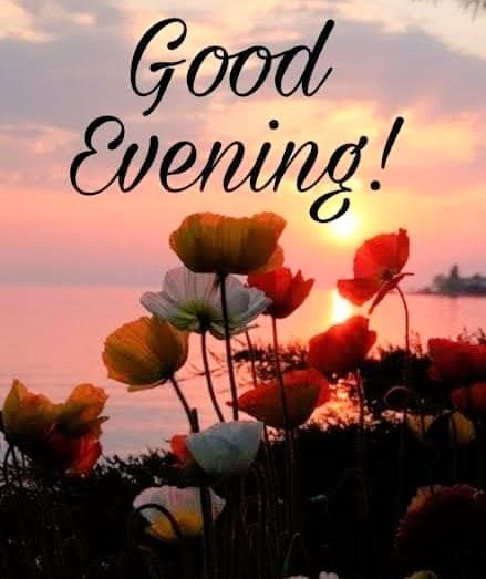 「good evening」 505ZXX レギュラーストレート デニムパンツ ジーンズ セットアップ