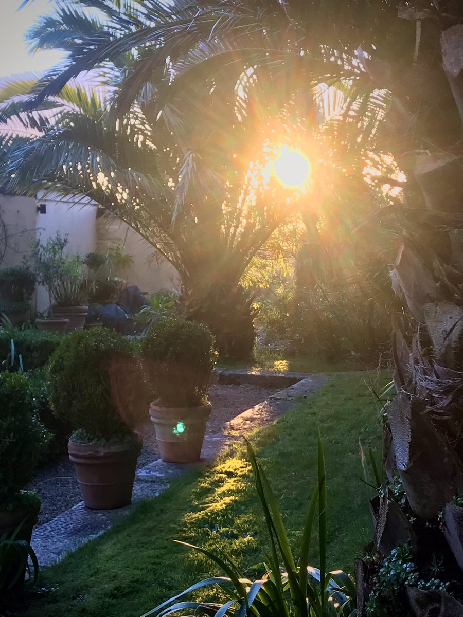 ednoveanfarm's tweet photo. The last golden ray of sunshine shining through our courtyard gate #courtyard #greenorb #Cornwall https://t.co/FKxfdpIgld