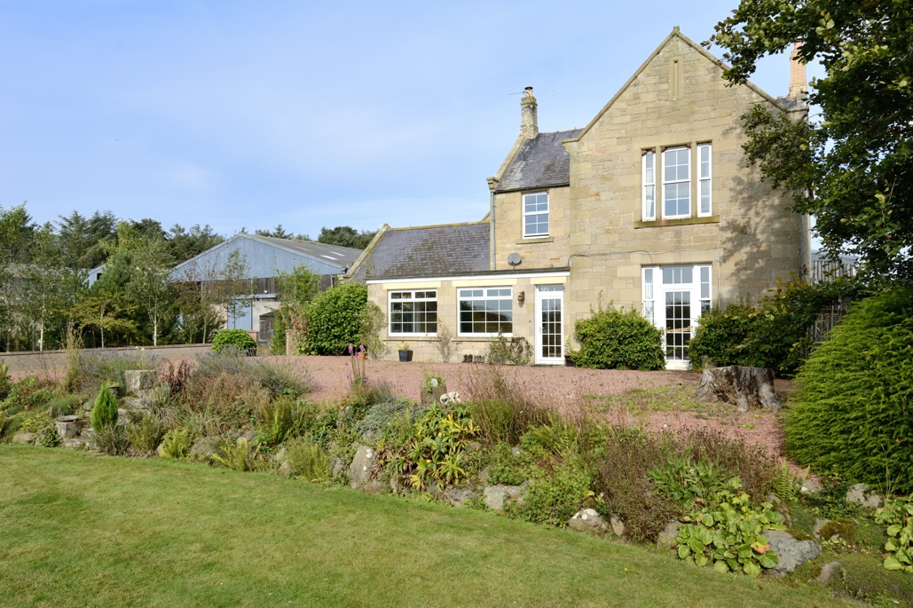 FBR Seed tweet media