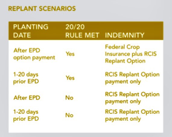 If you’ve received a replant payment from your MPCI policy in the last couple of years, were you happy with the amount it paid?🌱Replant Option policies offer more flexibility, higher coverage &amp; less restrictions than relying on MPCI alone. 

If you’ve got questions - ask away!