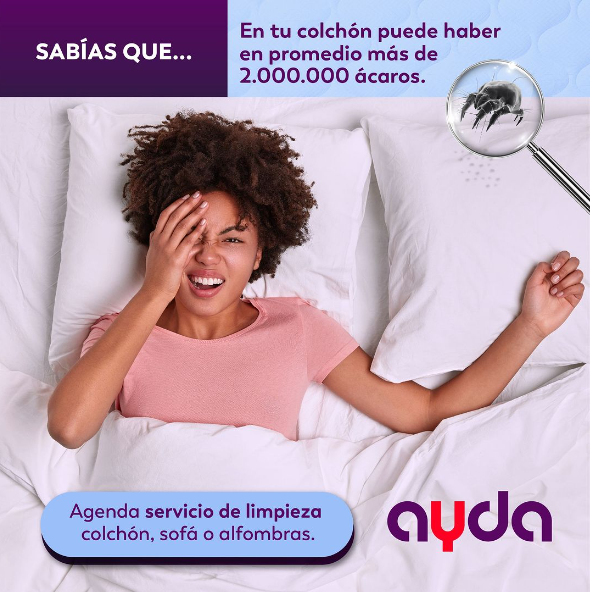 AydaColombia's tweet photo. ¡Dale a tu colchón el cuidado que merece con AYDA! Nuestros servicios de limpieza garantizan un descanso fresco y saludable. ¡Contáctanos hoy para una limpieza revitalizante! 💤✨ #LimpiezaDeColchón #DescansoSaludable #AYDATuManoDerecha

Contáctanos📲 https://t.co/MOt5C1cWPl https://t.co/ZMKu5466xE