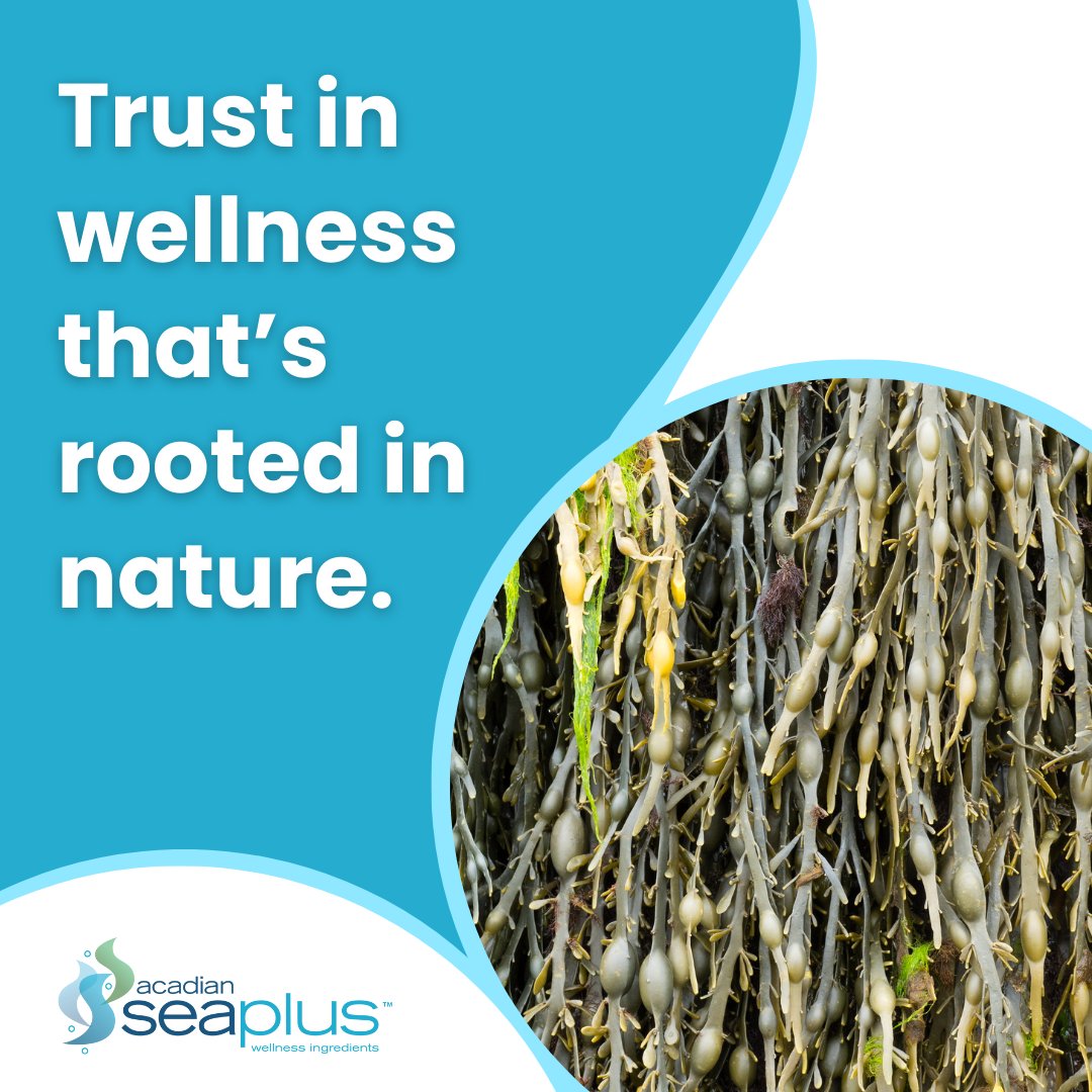 Elevate your supplements with Acadian SeaPlus™ Nutraceuticals! Our all-natural, organically-certified ingredients ensure 100% safety for human consumption. Learn more: acadianseaplus.com #AcadianSeaPlus #Nutraceuticals #SeaweedSupplements