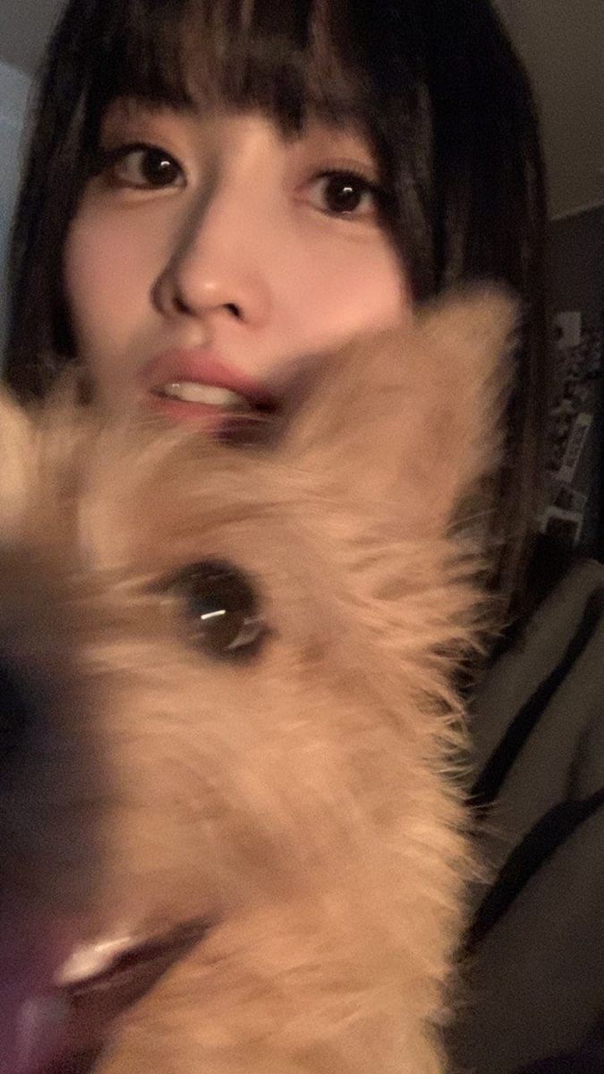 mingyaur's tweet photo. pi valentine's 🎀 https://t.co/pxEOvCawBv