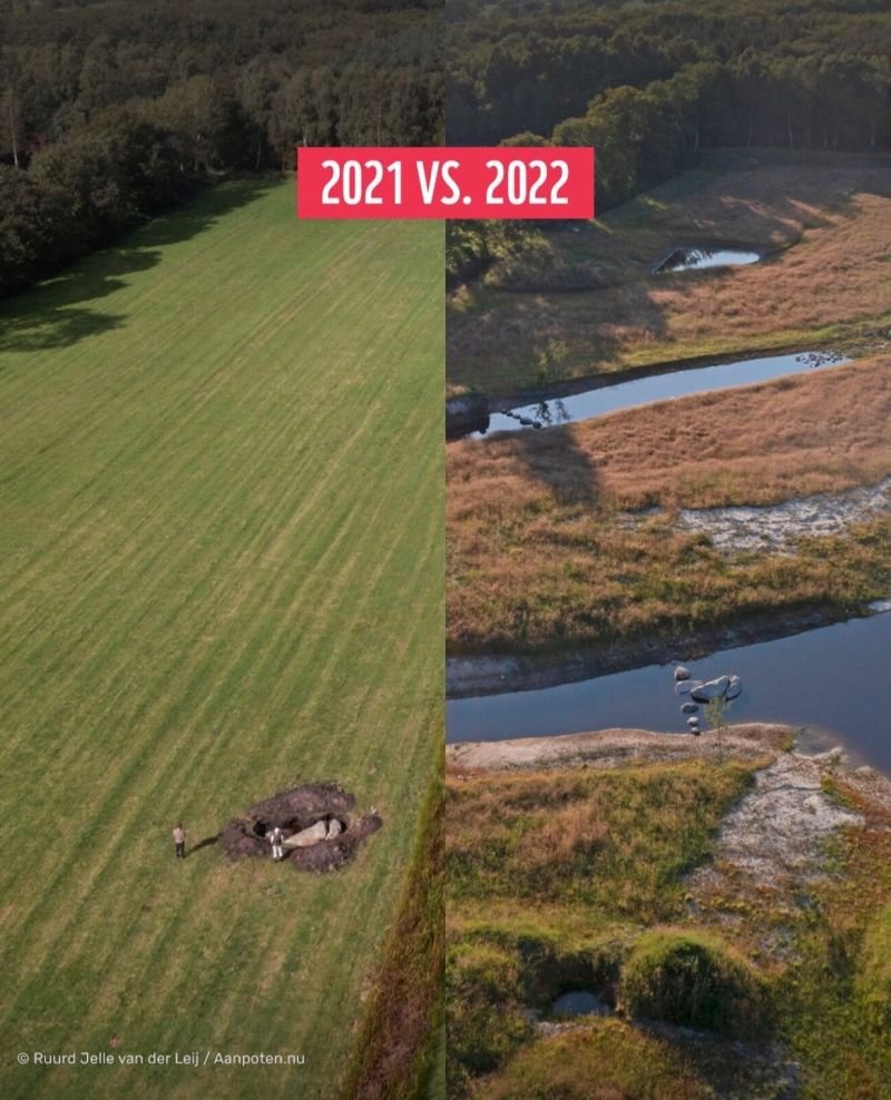 Twee vrienden transformeerden in coronatijd een weiland in een natuurgebiedje met veel meer soorten planten, insecten en vogels, en proberen dat nu op meer plekken te doen. Maar… Ze lopen aan tegen een muur van regels en bureaucratie waardoor sommige projecten helemaal gestopt