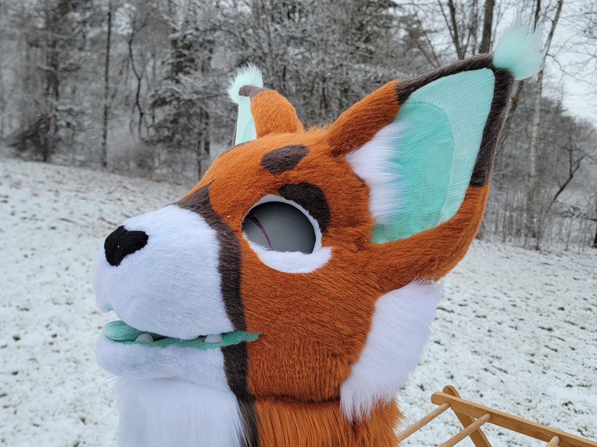 My order of eyes is STILL not in so yet another eyeless suit T-T super happy with this suit tho! this gal is a premade mini partial that will be up for grabs Feel free to dm me if anyone's interested in claiming her now!

 #fursuitmaking #fursuitforsale #fursuitmaker #furry
