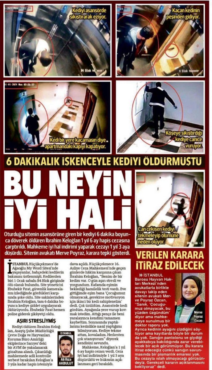 Bu hala nasıl aramızda elini kolunu sallayarak dolaşabiliyor? #ibrahimkeloglantutuklansın